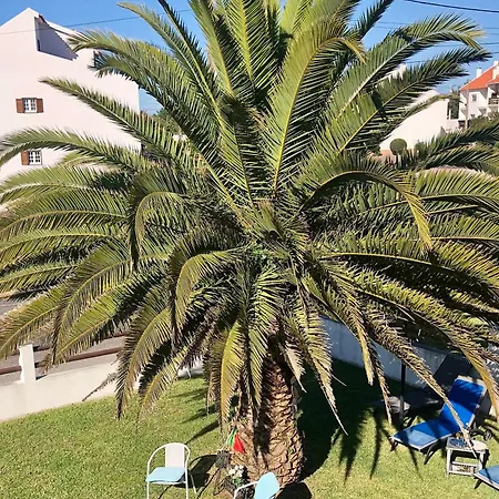 Alojamento Santa Helena Holiday home A dos Cunhados