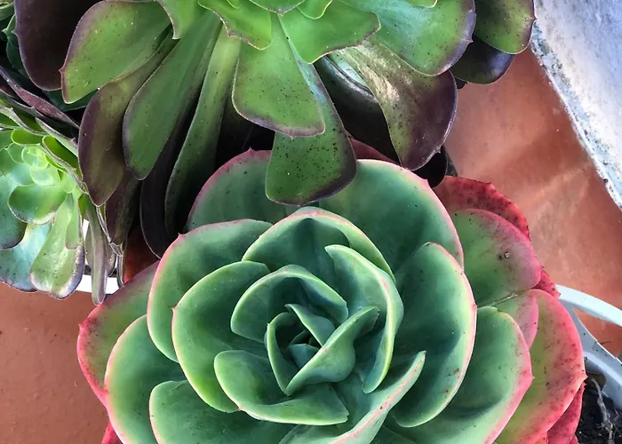 בית נופש Alojamento Santa Helena *