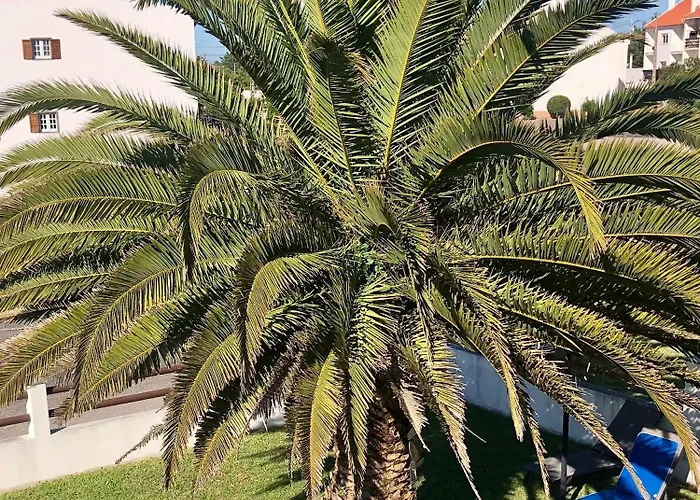 Alojamento Santa Helena בית נופש אה דוס קונהאדוס